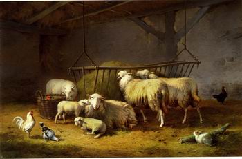 Sheep 136